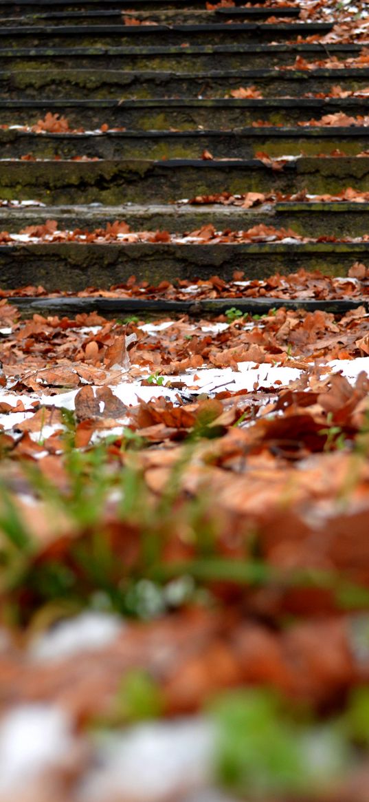 autumn, steps, foliage, snow