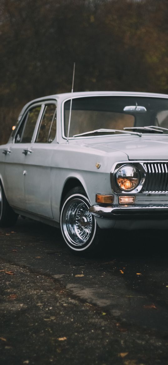 volga, gaz 24, car, beige, nature, antique, retro