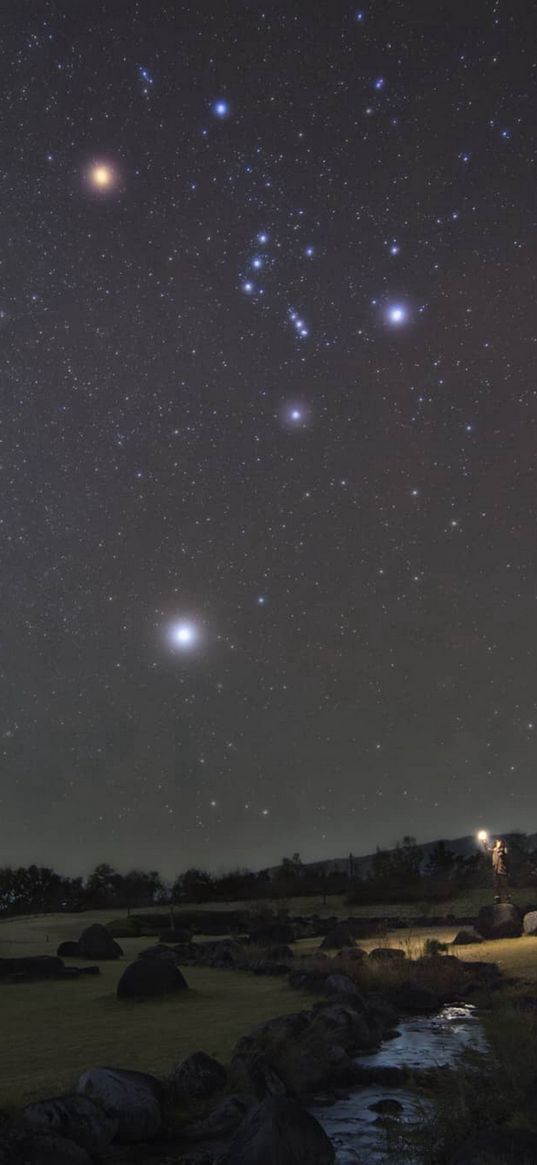 rocks, savannah, mount, starry sky, stars, night, nature