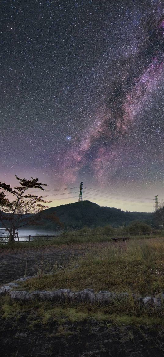 savannah, trees, forest, mountain, starry sky, electric pole, nature