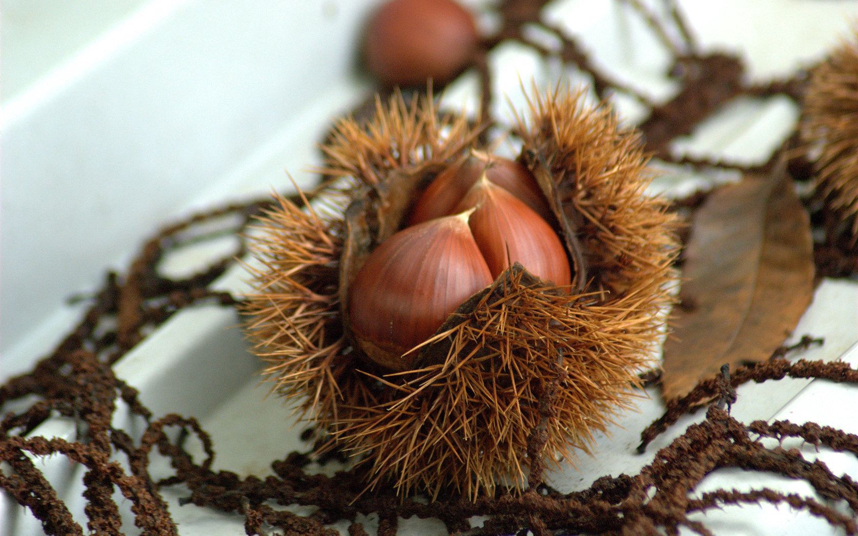 chestnuts, walnuts, autumn, treats