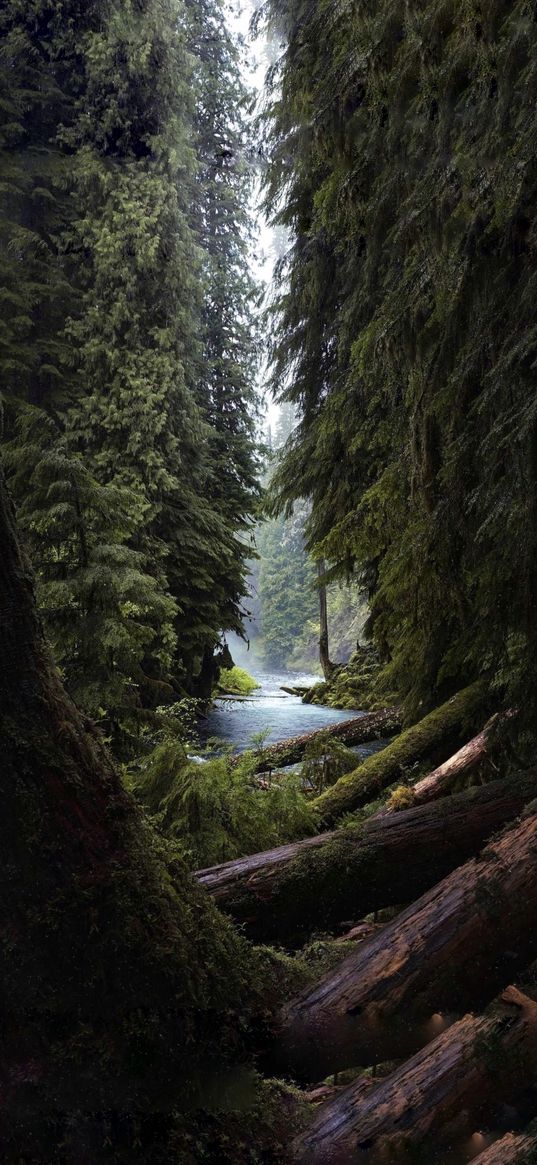 nature, river, trees, mountain, green, logs