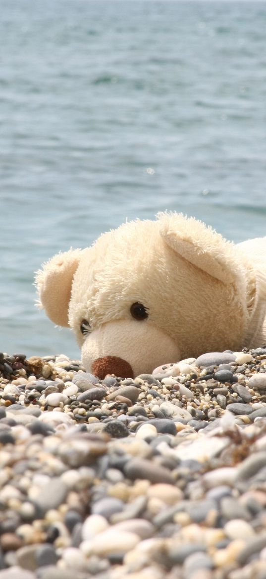 soft toy, bear, beach, rocks, sea