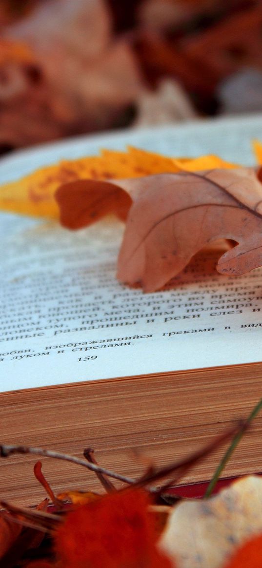 books, texts, leaves, autumn, foliage, pages