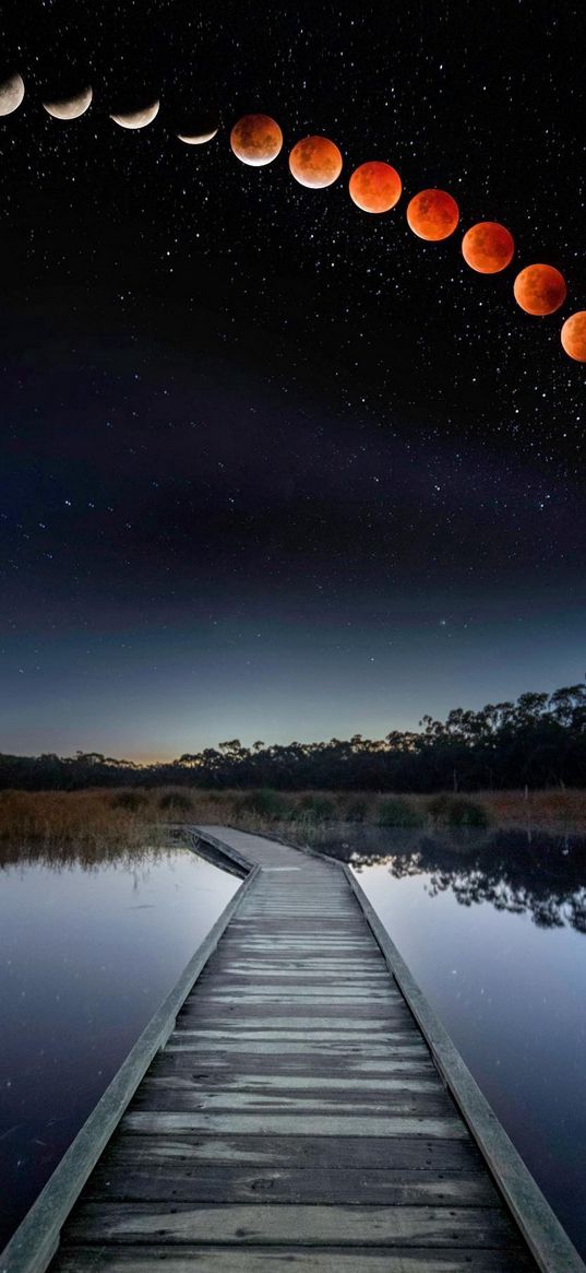 path, lake, savannah, trees, sunrise, starry sky, moons