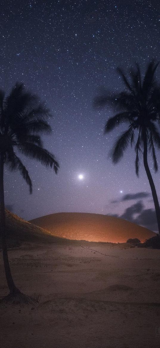 desert, coconut tree, hills, stars, night, starry sky, landscape