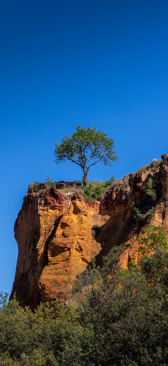 cliff, tree, relief, shadows, sky