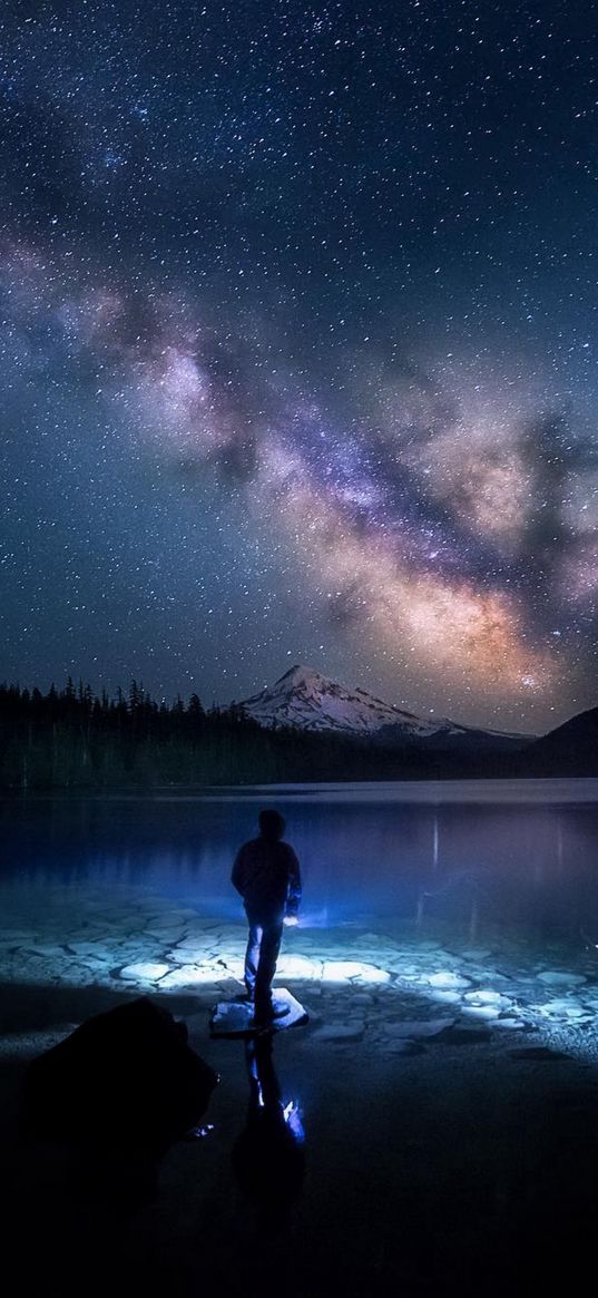 human, lake, shore, forest, hill, snow, winter, milky way, starry sky, night