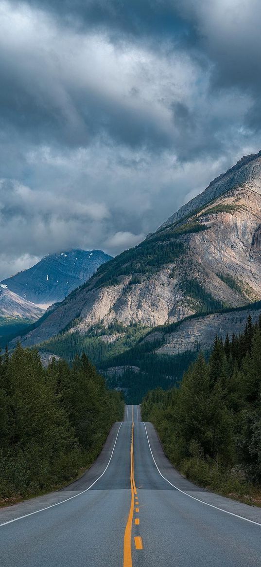 road, trees, savannah, mountain, forest, hills, slope, landscape