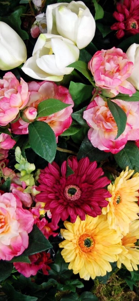 gerbera, roses, tulips, gillyflower, composition