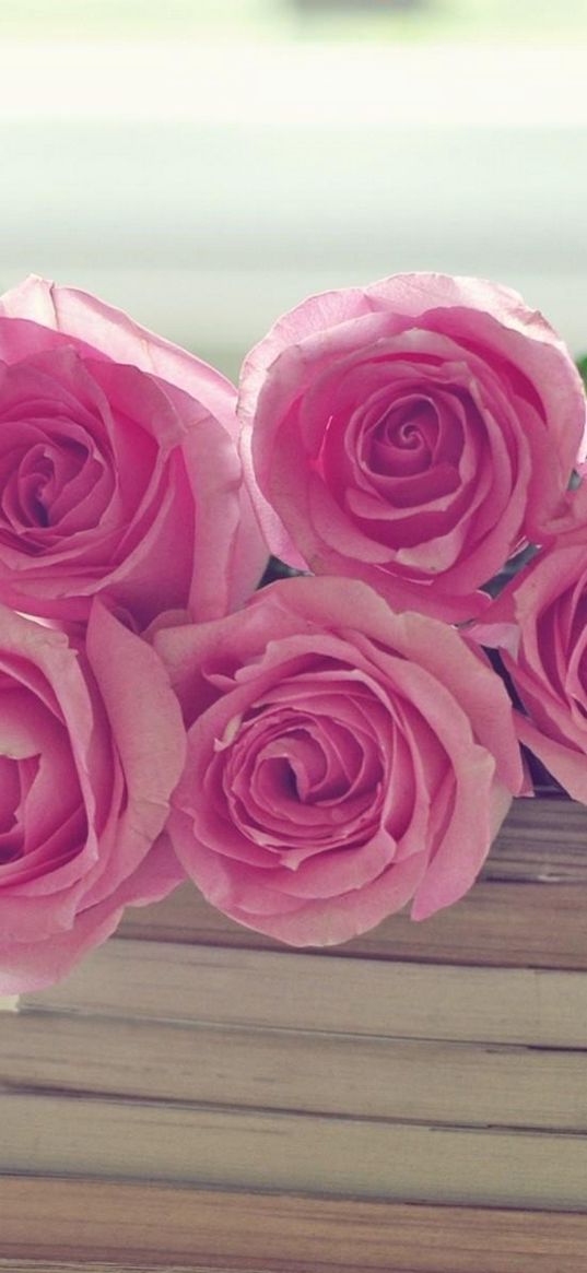 rose, flowers, bouquet, books