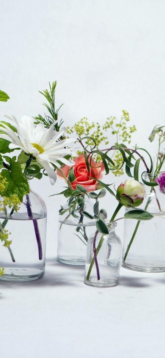 rose, chamomile, bluebells, flowers, jars, water