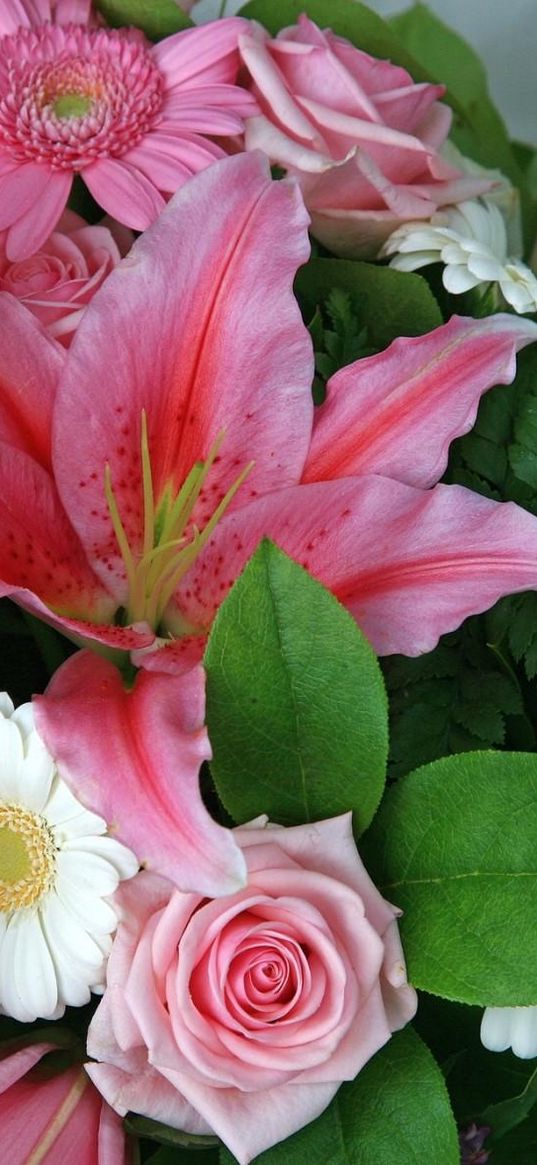 gerberas, lilies, roses, flower, leaf