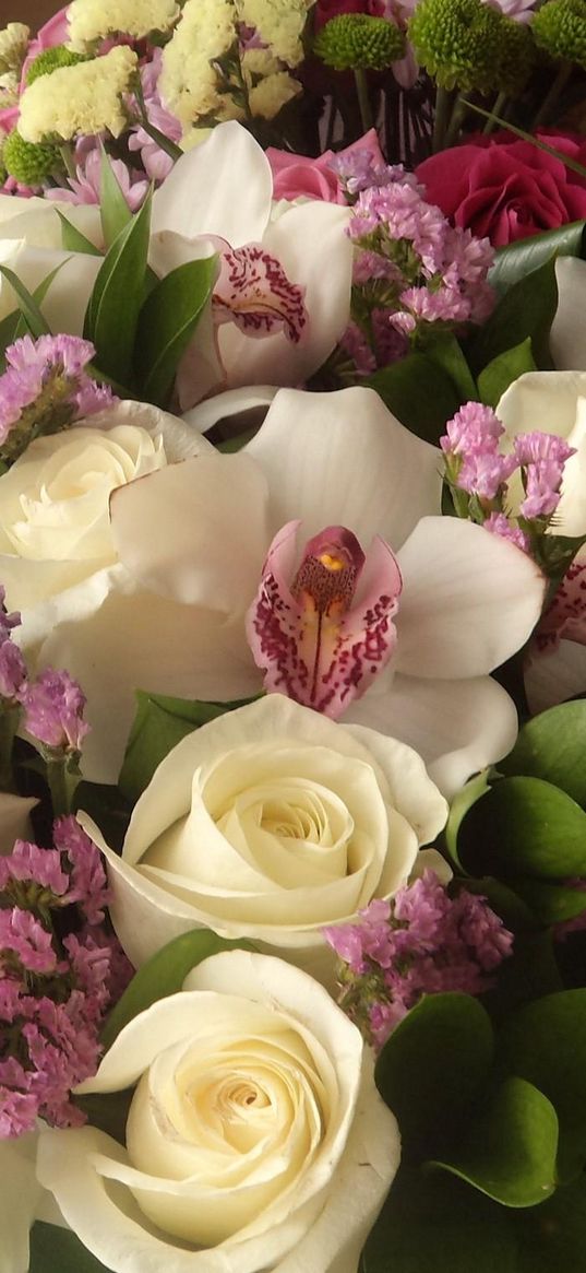 roses, orchids, flower, leaves, beautiful