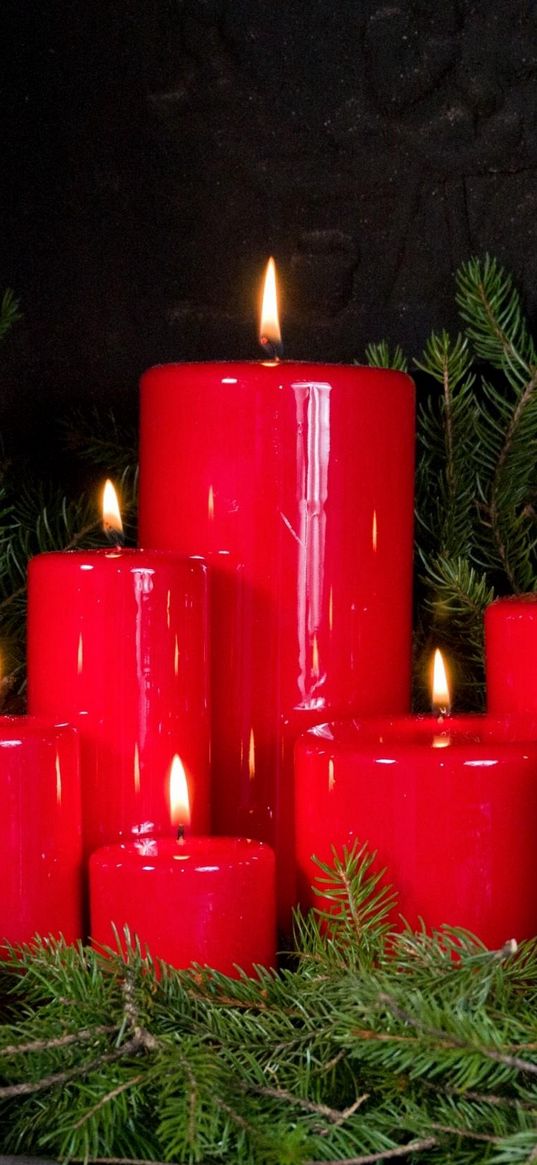 christmas candles, bumps, twigs, pine needles