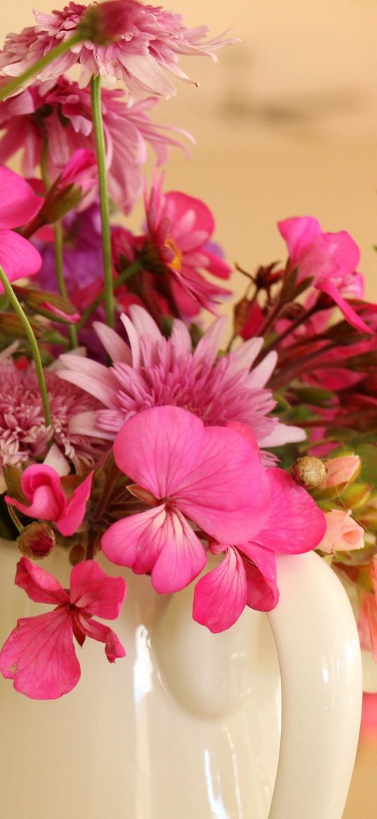 gerbera, chrysanthemum, flower, jug, close-up