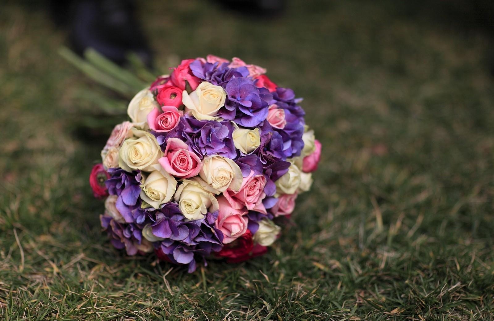 roses, hydrangeas, flower, grass, blurring