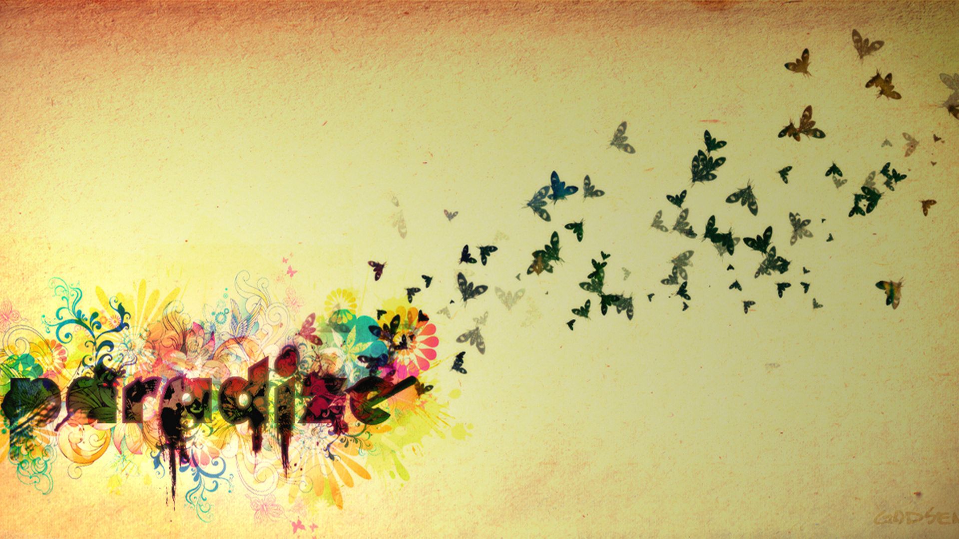 flight, sky, butterflies, birds, bright