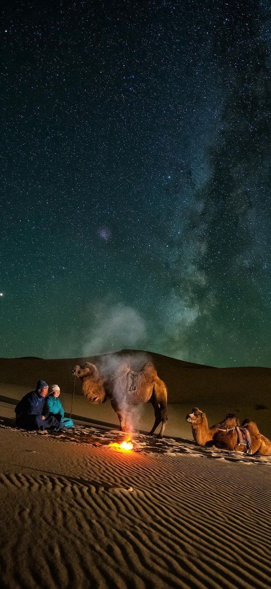 nomads, couple, people, camels, bonfire, sand, dunes, desert, milky way, starry sky, stars, night, nature