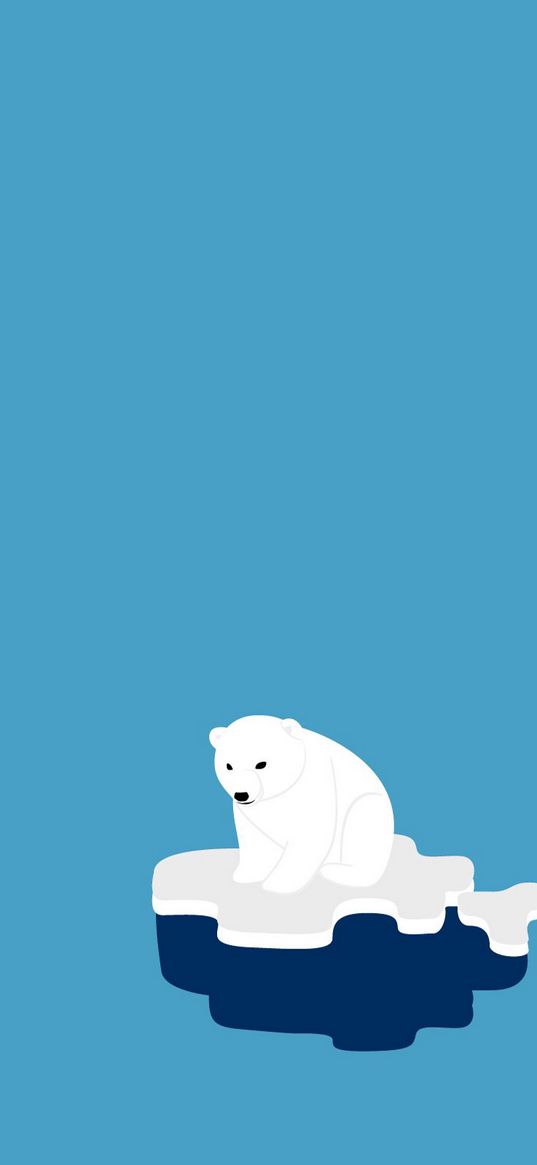 polar bear, ice, minimalism