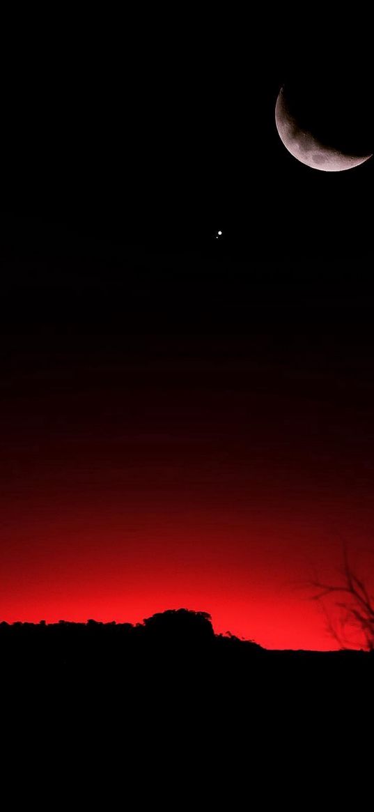 savannah, tree, night, moon, dark, landscape, red