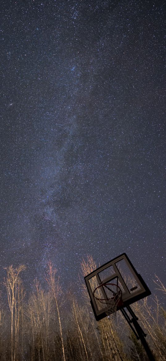 basketball stand, basketball, trees, milky way