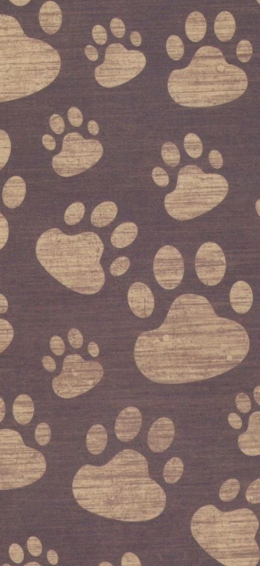 paw, print, background, surface, pattern