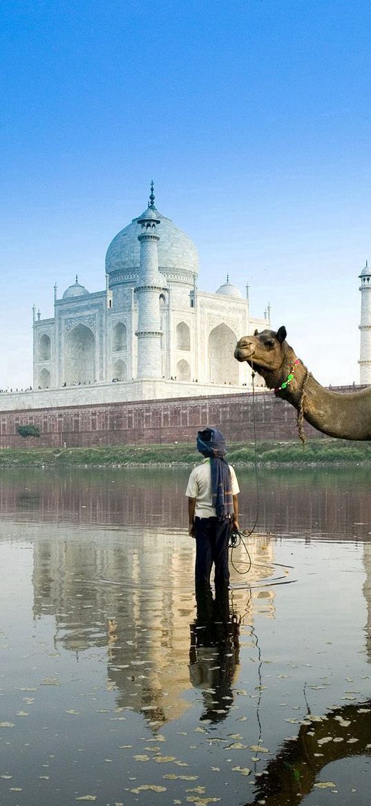 islam, architecture, camel, street