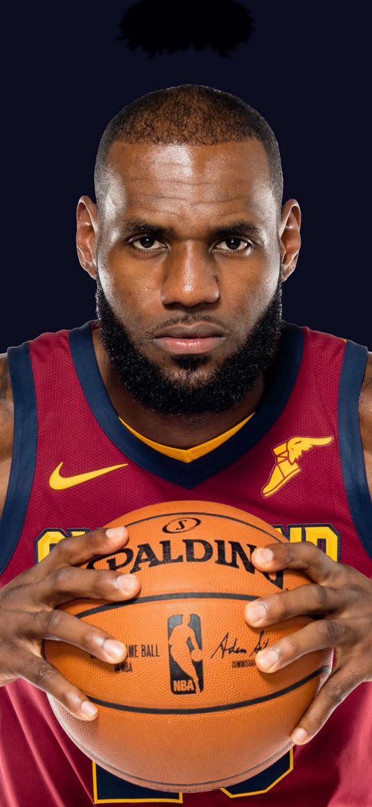 lebron james, basketball player, ball, basketball, sports