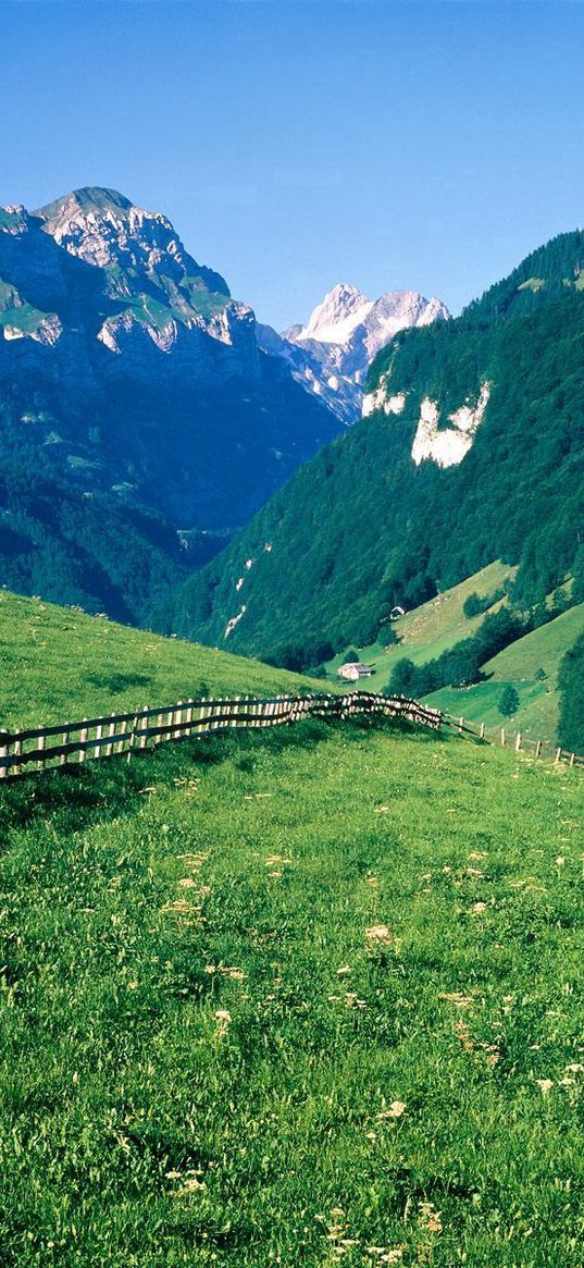 fence, mountains, slopes, meadows, greens, pasture, trees, switzerland