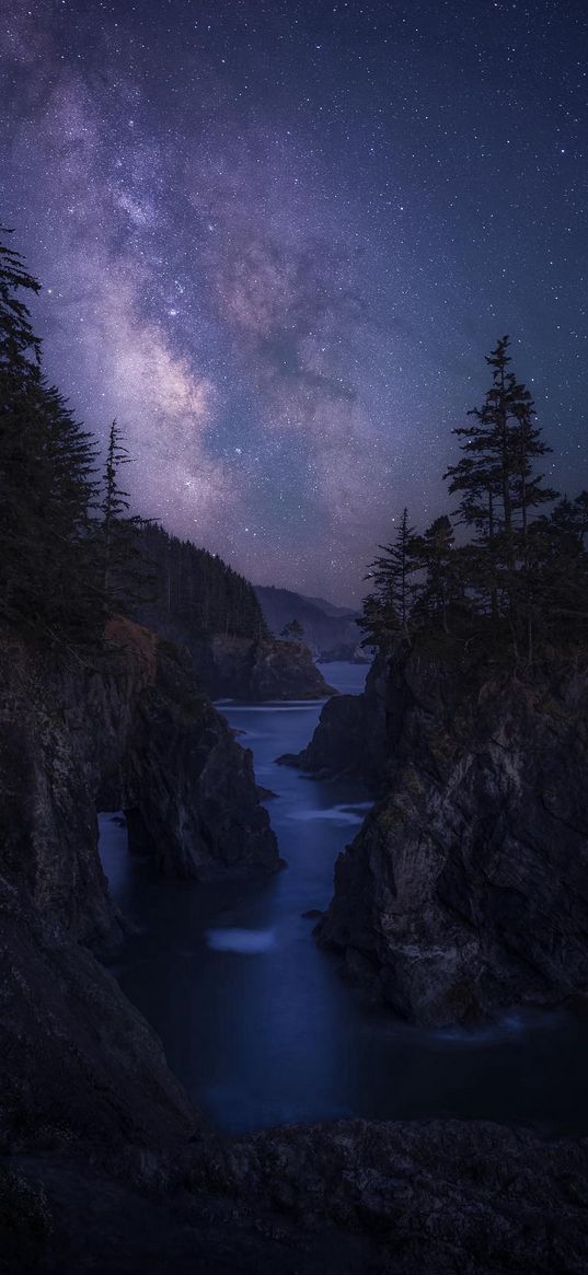 river, bank, hillside, hills, trees, forest, milky way, night