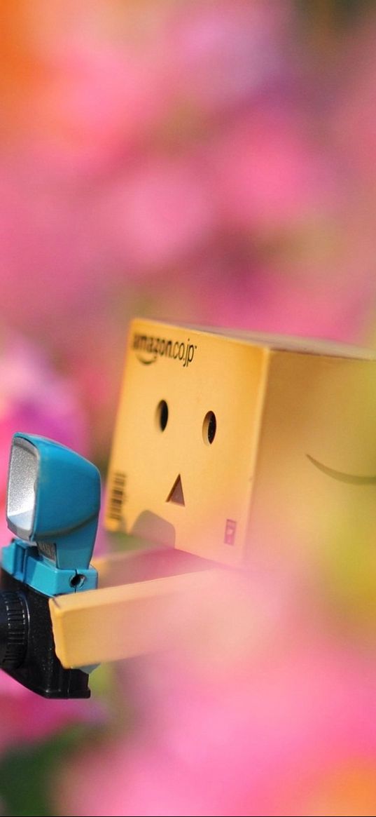 danboard, flowers, loneliness, camera