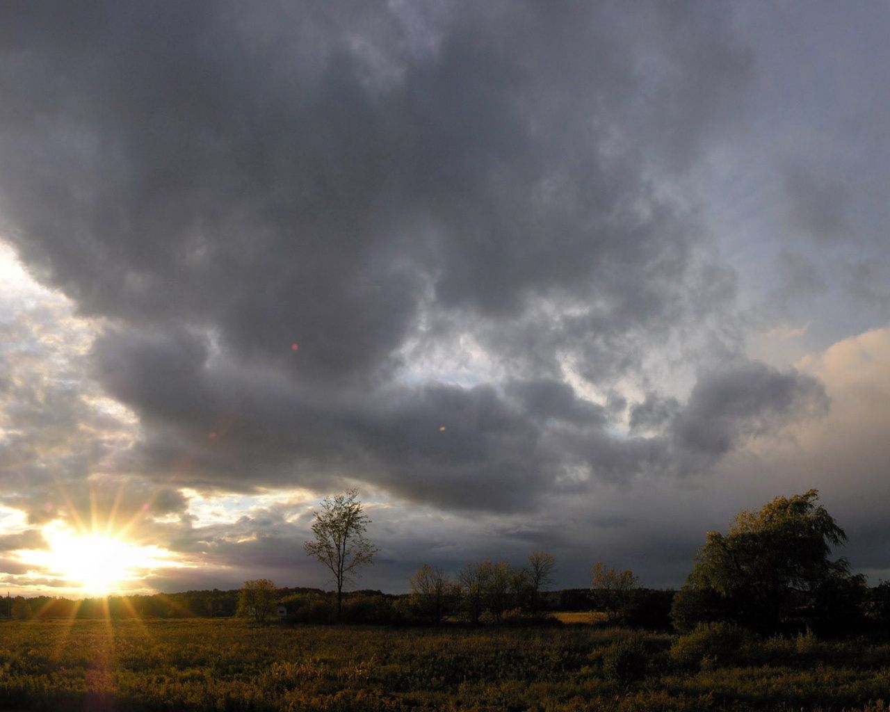 sun rays, dawn, field, trees, clouds