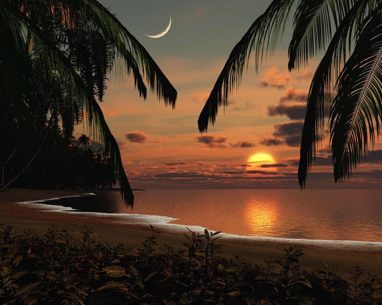 coast, morning, sun, dawn, moon, sky, beach, palm trees