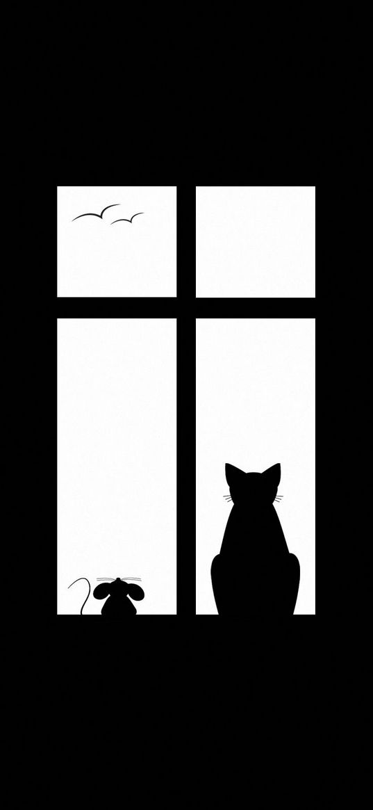 cat, picture, window, silhouette