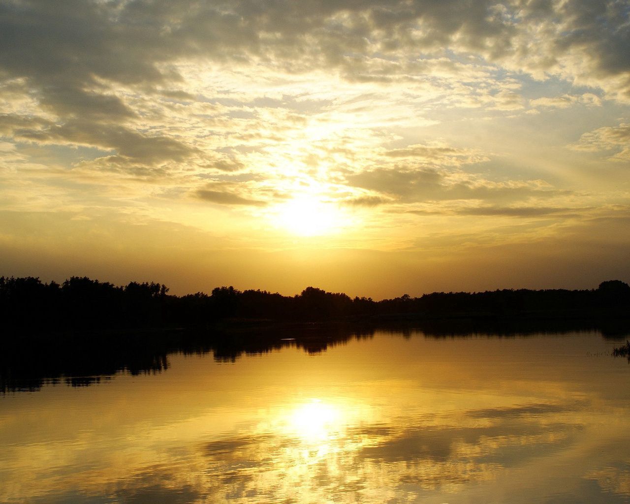 sunlight, lake, reflection, sky, outlines, trees