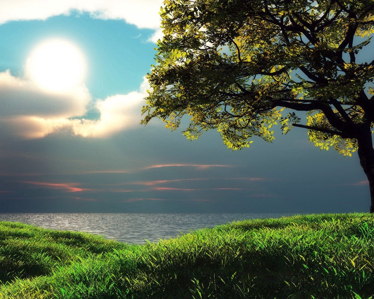 clouds, grass, sky, greens, sunlight, tree