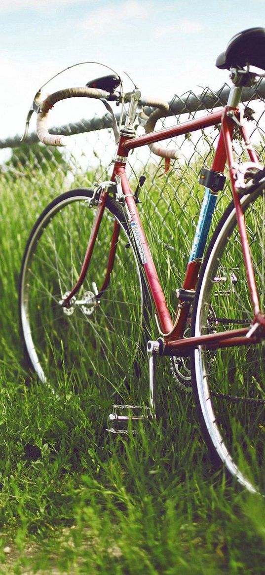 bike, grass, street