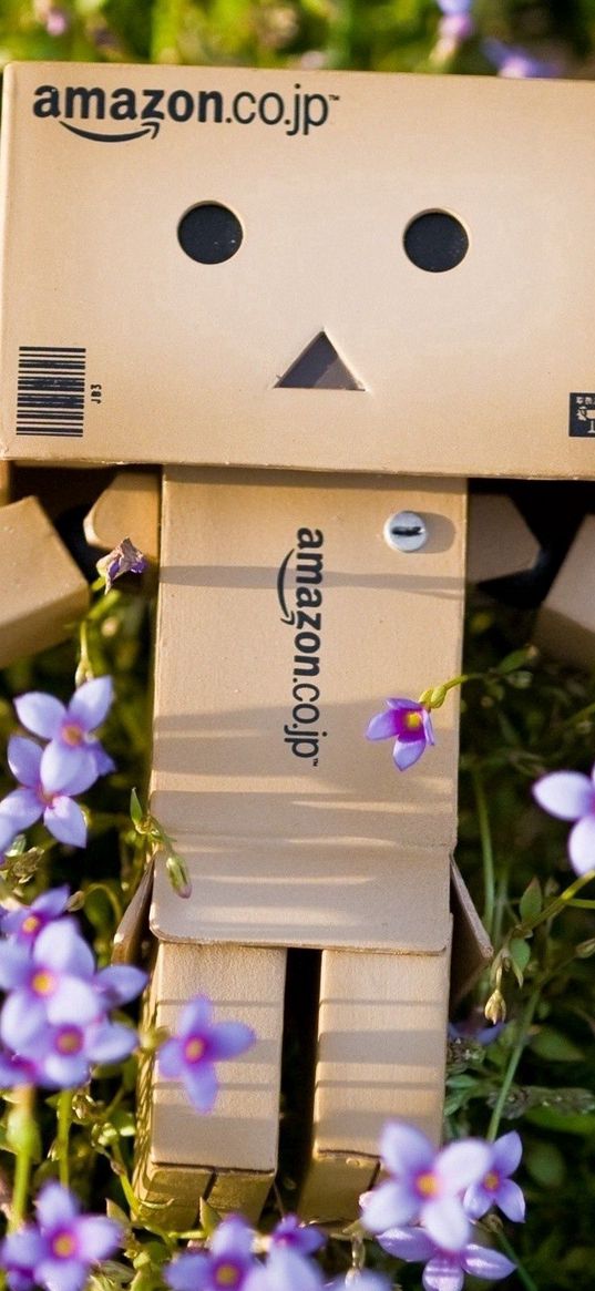 danboard, cardboard robot, flowers, grass