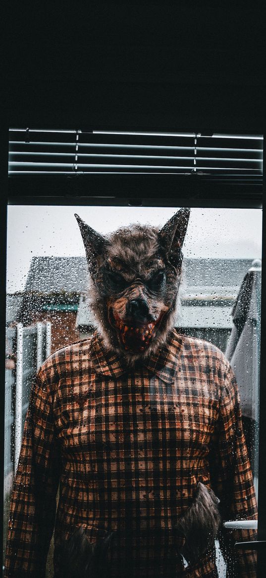 window, mask, wolf, man, horror, scary