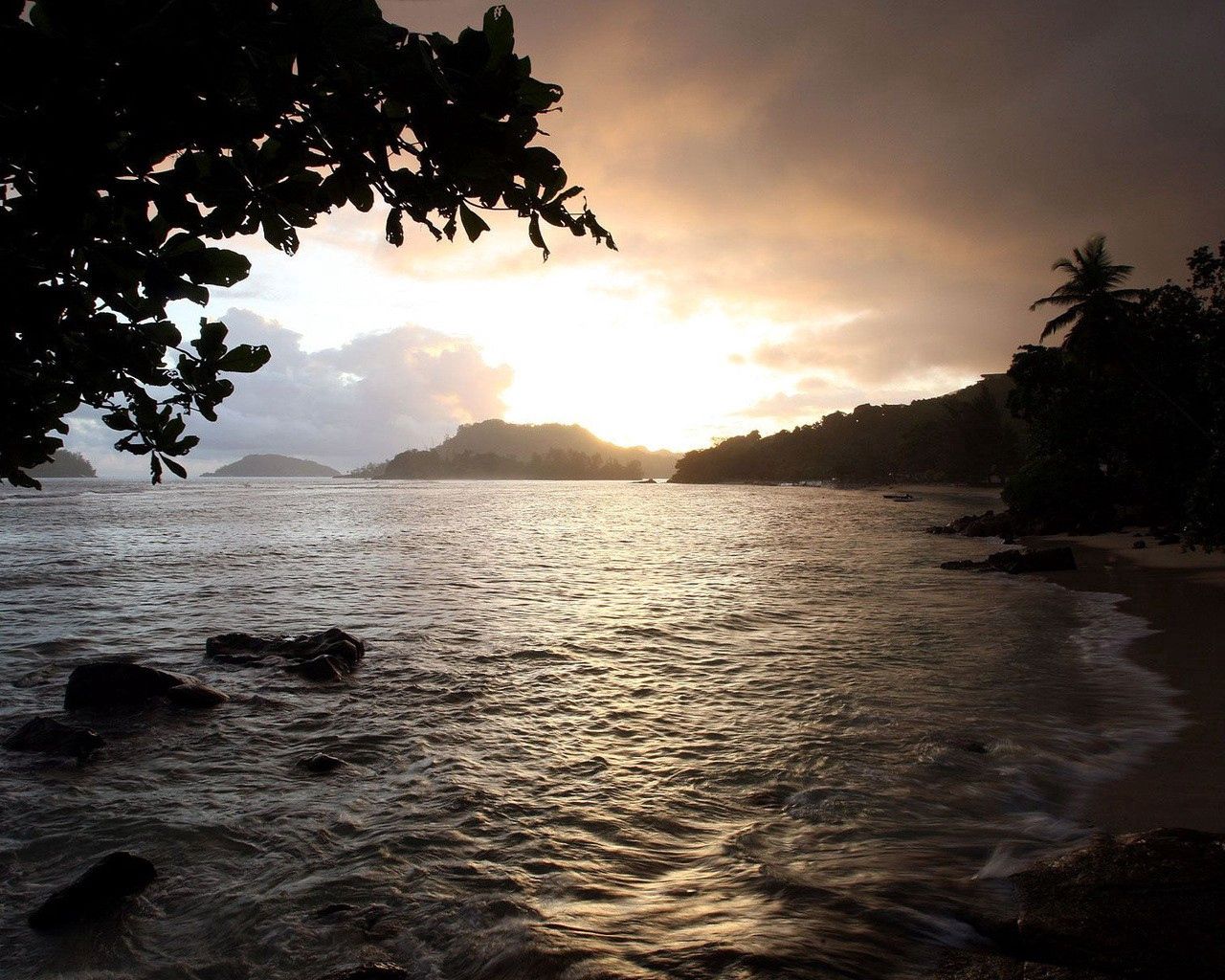 coast, sea, stones, tree, leaves, sand, clouds