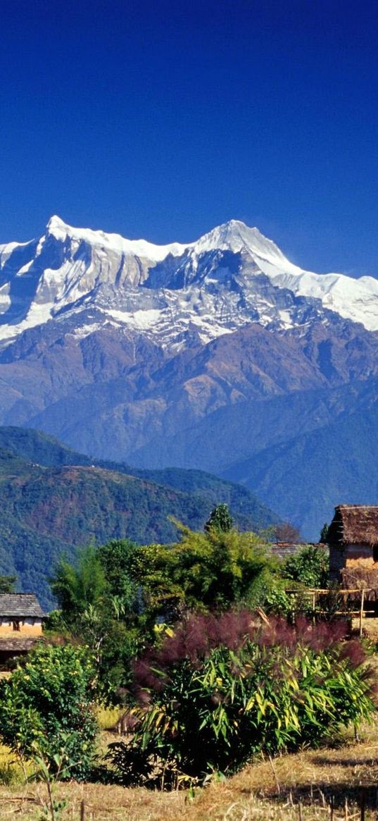 asia, mountains, houses, vegetation, trees