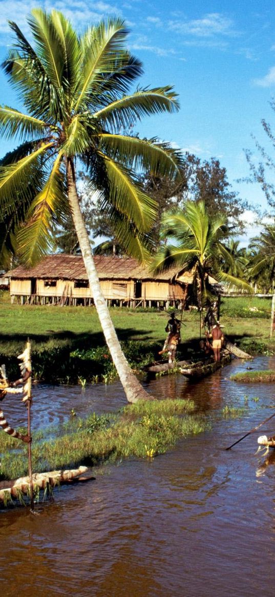 boats, tribe, people, water, palm trees, coast, natives