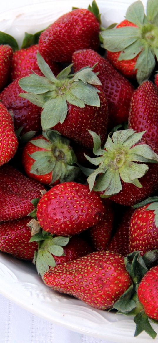 strawberries, sweet, dish, fruit