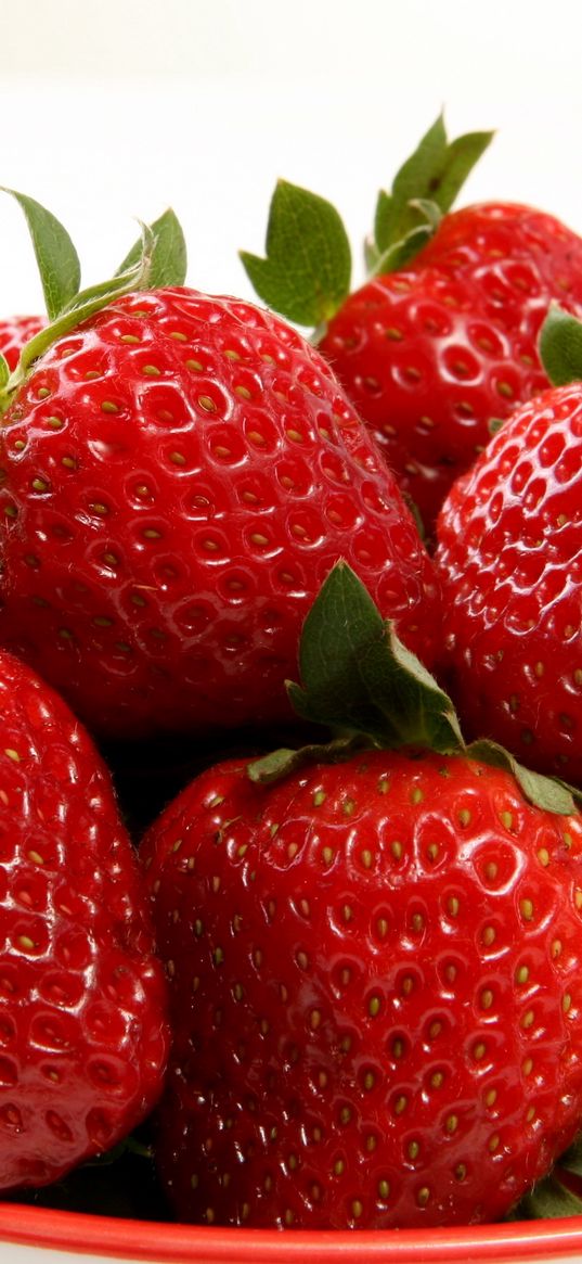 strawberries, plate, food, sweet