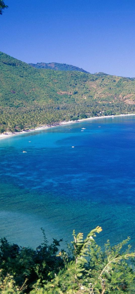 trees, asia, coast, mountains, blue water