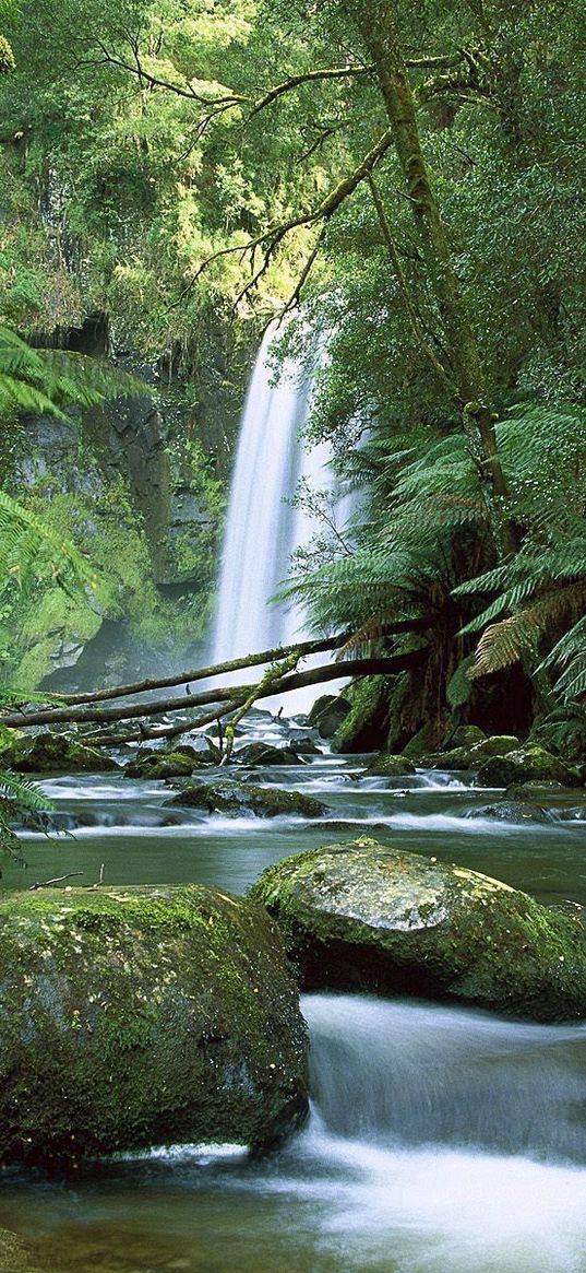 australia, falls, stones, greens, fern