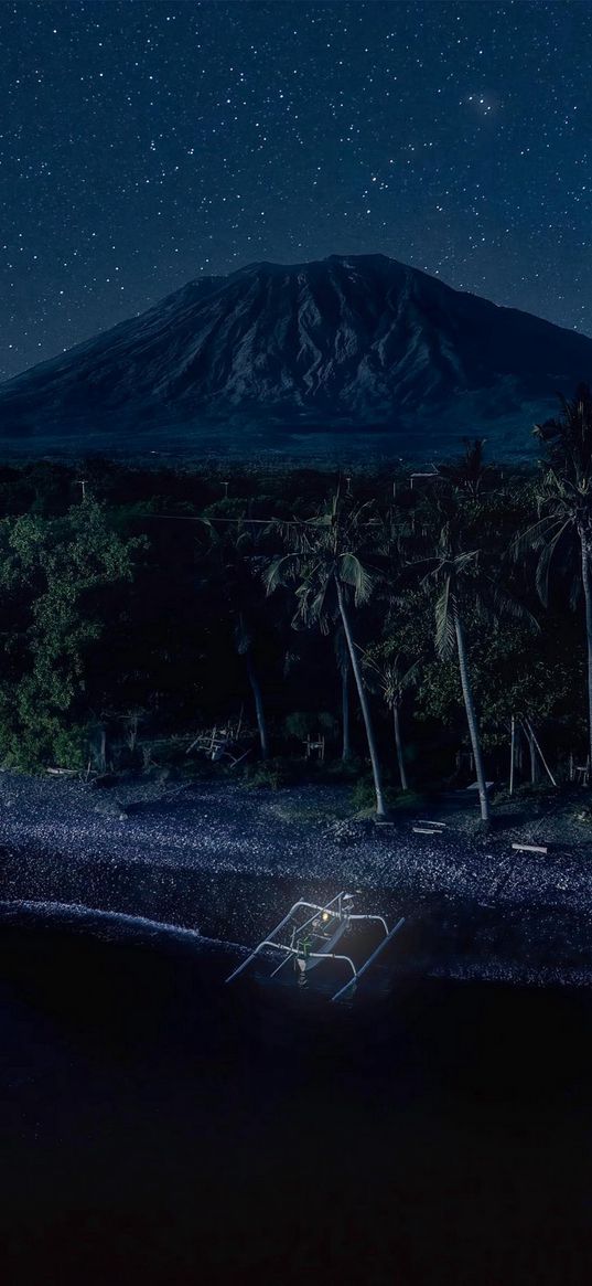 island, shore, forest, coconut trees, mountain, starry sky, night, dark, landscape