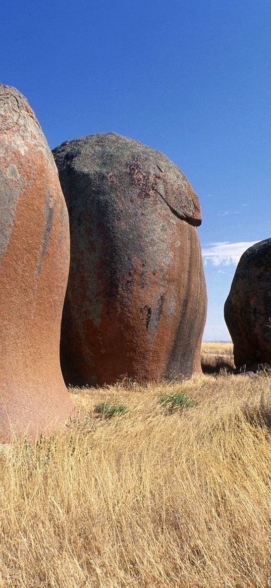 australia, stones, field, grass