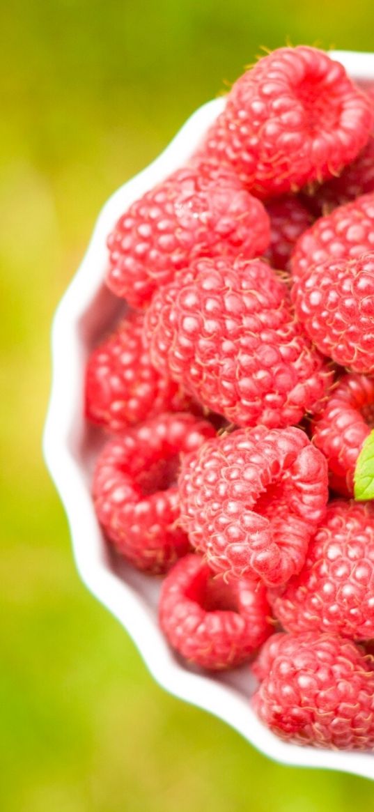 raspberries, bowl, blur, flower, ripe